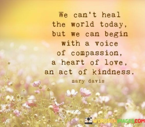 We Can't Heal The World Today But We Can Begin Quotes