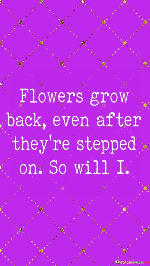 Flowers-Grow-Back-Even-After-Theyre-Stepped-Quotes.jpeg