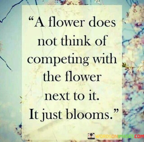 A Flower Does Not Think Of Competing With The Flower Next To It It Just Blooms Quotes