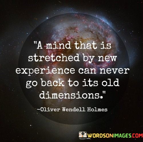 A-Mind-That-Is-Stretched-By-New-Experience-Can-Never-Go-Back-To-Its-Old-Dimensions-Quotes.jpeg