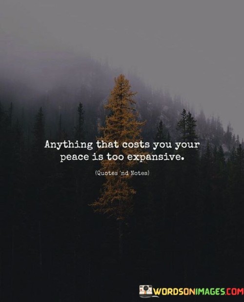 Anything That Costs You Your Peace Is Too Expansive Quotes