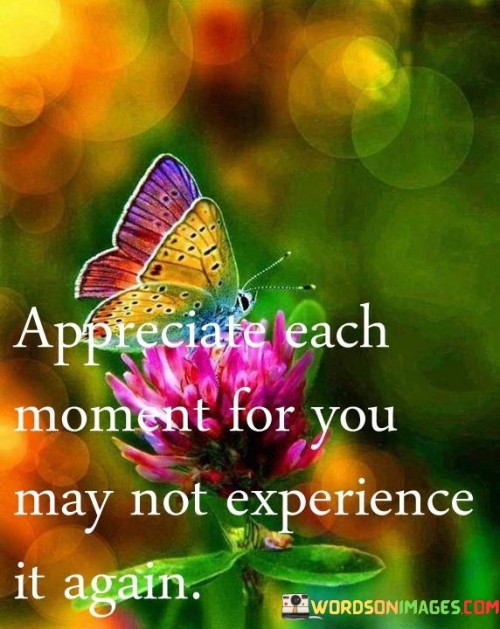 Appreciate Each Moment For You May Not Experience It Again Quotes