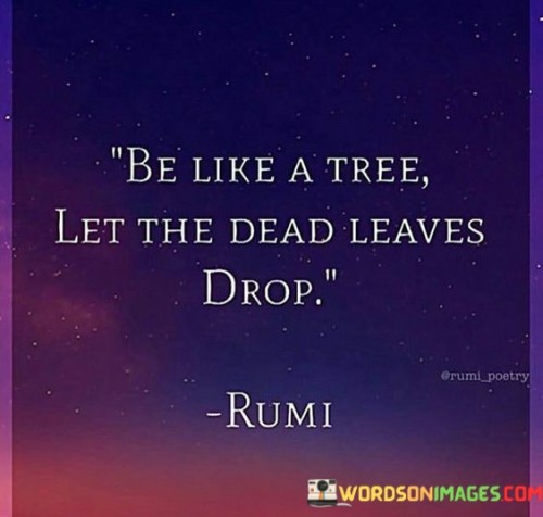 Be-Like-A-Tree-Let-The-Dead-Leaves-Drop-Quotes.jpeg