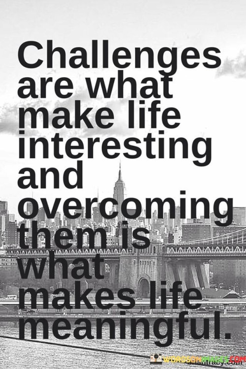 Challenges-Are-What-Make-Life-Interesting-And-Overcoming-Them-Is-What-Makes-Life-Quotes.jpeg
