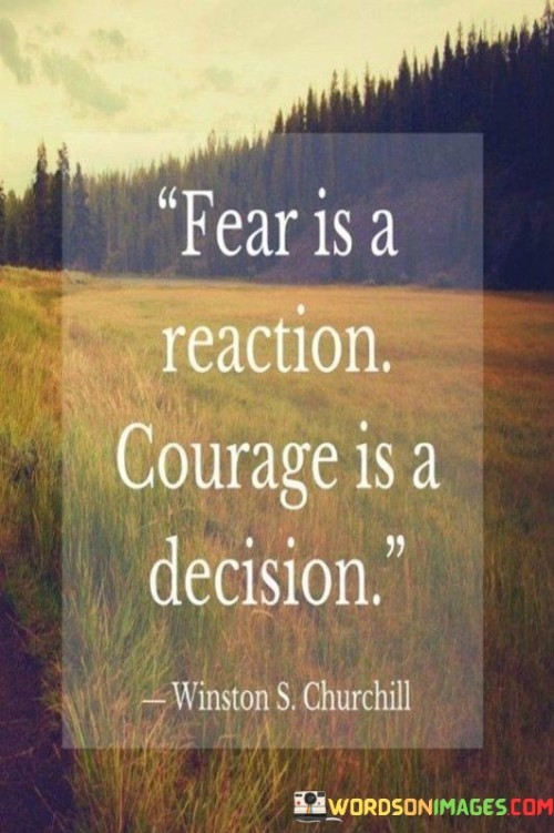 Fear-Is-A-Reaction-Courage-Is-A-Decision-Quotes48293ce32643f0ff.jpeg