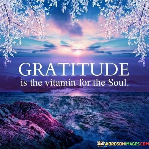 Gratitude-Is-The-Vitamin-For-The-Soul-Quotes.jpeg