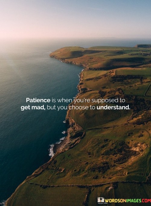 Patience-Is-When-Youre-Supposed-To-Get-Mad-Quotes.jpeg