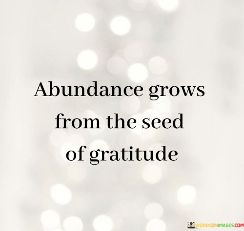 Abundance-Grows-From-The-Seed-Of-Gratitude-Quotes.jpeg