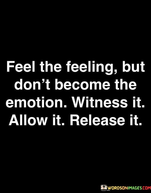 Feel-The-Feeling-But-Dont-Become-The-Emotion-Quotes.jpeg