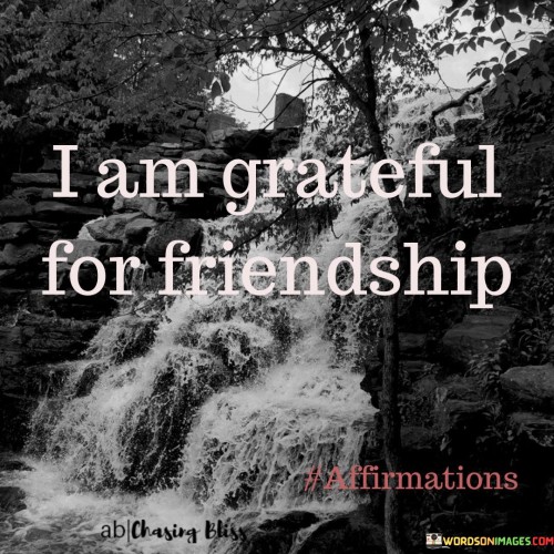 I Am Greatful For Friendship Quotes