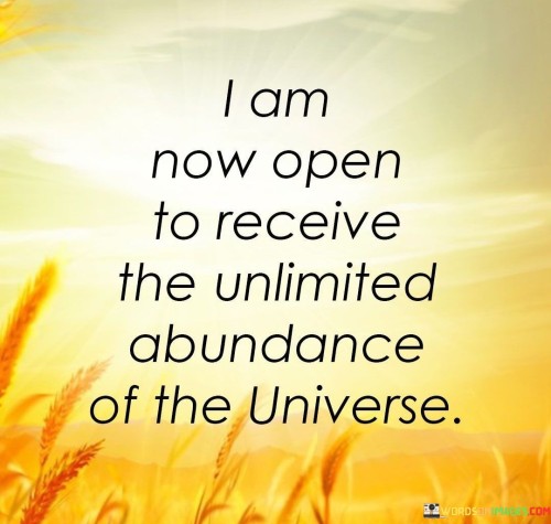 I Am Now Open To Receive The Unlimited Abundance Of The Universe Quotes