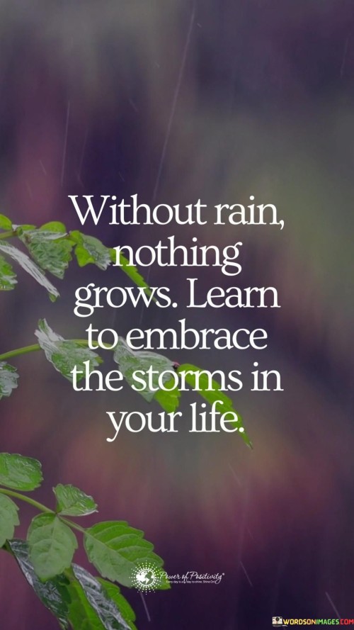 Without Rain Nothing Grows Learn To Embrace The Storms In Your Life Quotes