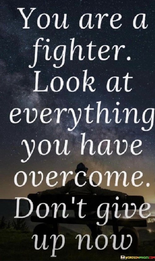 You-Are-A-Fighter-Look-At-Everything-You-Have-Overcome-Dont-Give-Up-Now-Quotes.jpeg