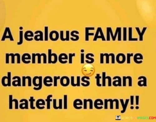 A Jealous Family Member Is More Quotes