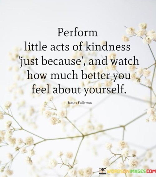 Perform-Little-Acts-Of-Kindness-Just-Because-Quotes.jpeg