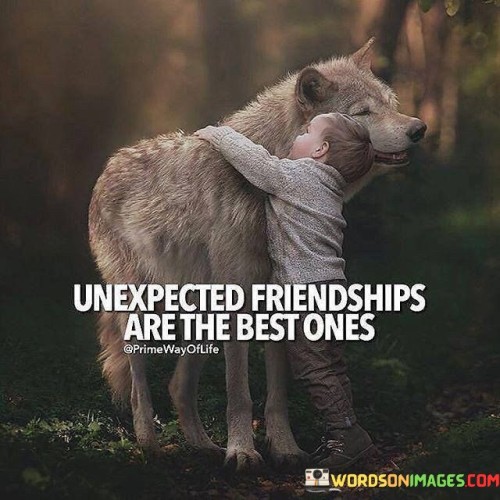 Unexpected Friendships Are The Best Ones Quotes