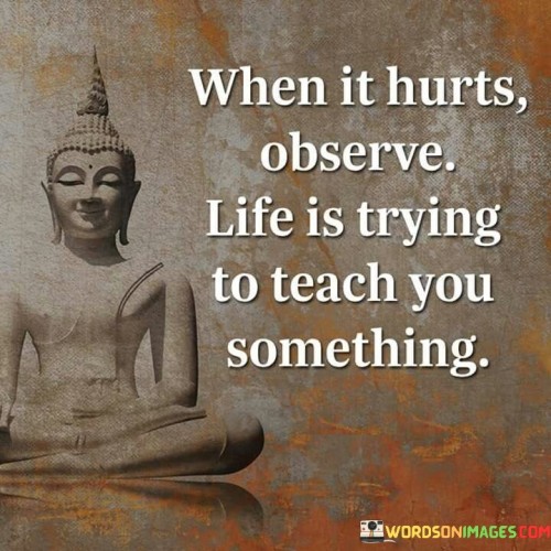 When It Hurts Observe Life Is Trying To Teach You Quotes