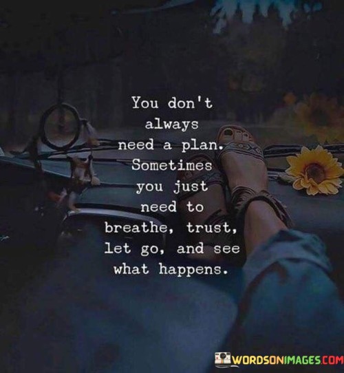 You-Dont-Always-Need-A-Plan-Sometimes-You-Just-Need-To-Breathe-Trust-Let-Go-Quotes.jpeg