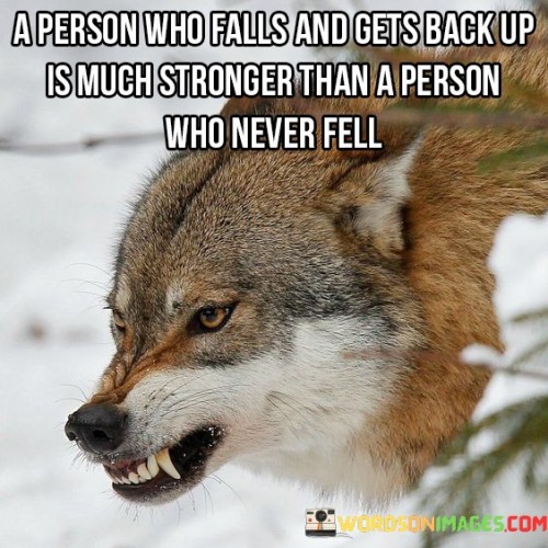 A Person Who Falls And Gets Back Up Is Much Quotes