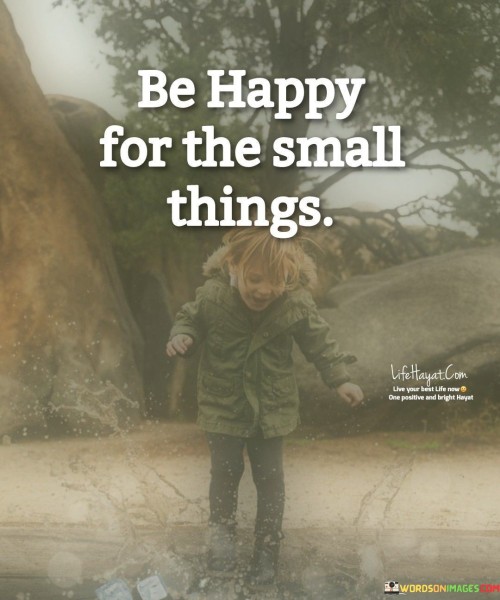 Be Happy For The Small Thing Quotes