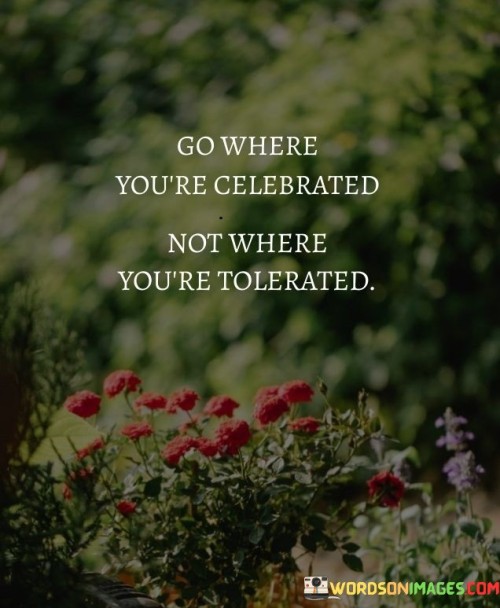 Go Where You're Celebrated Not Where You're Tolerated Quotes