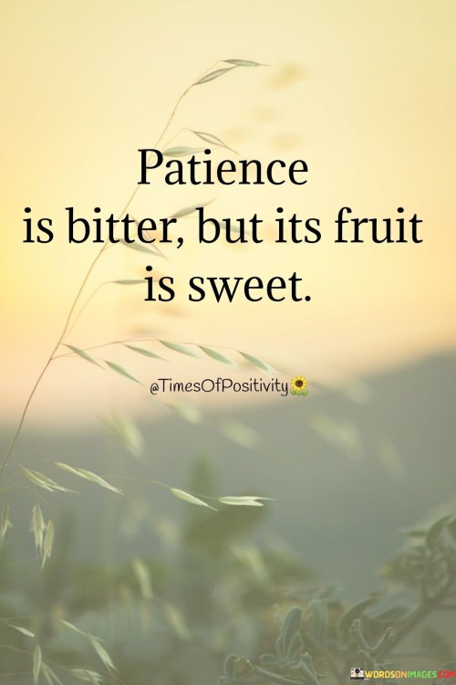 Patience Is Bitter But Its Fruit Is Sweet Quotes