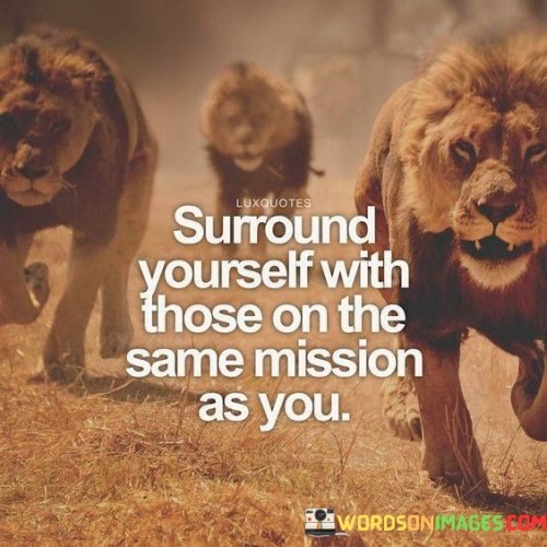 Surround-Yourself-With-Those-On-The-Same-Mission-As-You-Quotes.jpeg