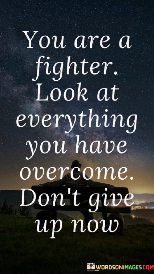 This quote celebrates resilience and determination. It suggests that an individual's history of triumphs should inspire them to keep persevering. The phrase "you are a fighter" acknowledges inner strength and the ability to overcome challenges.

The quote highlights the importance of self-reflection and gratitude. It implies that recognizing past victories can fuel present resilience. By emphasizing "look at everything you have overcome," it encourages drawing motivation from personal achievements to continue moving forward.

Ultimately, the quote promotes a positive mindset and perseverance. It conveys that acknowledging past successes can provide the courage to keep pushing. By advising "don't give up now," it empowers individuals to weather adversity, confident that they possess the strength to overcome obstacles.