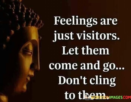 Feelings-Are-Just-Visitors-Let-Them-Come-And-Go-Quotes.jpeg