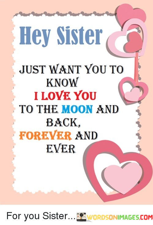 Hey-Sister-Just-Want-You-To-Know-I-Love-You-To-The-Moon-And-Back-Quotes.jpeg