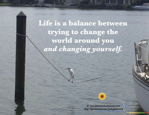 Life-Is-Balance-Between-Trying-To-Change-The-World-Quotes.jpeg