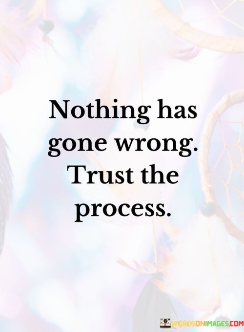 Nothing Has Gone Wrong Trust The Process Quotes