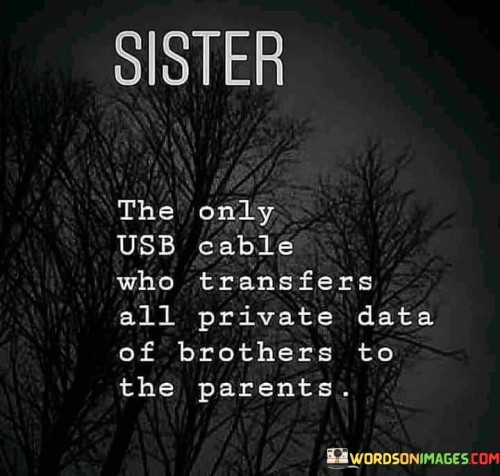 Sister The Only Usb Cable Who Transfers All Private Data Quotes