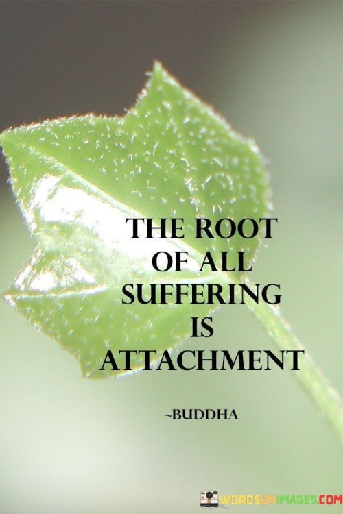 The Root Of All Suffering Is Attachment Quotes