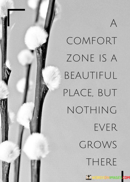 A-Comfort-Zone-Is-A-Beautiful-Place-But-Quotes.jpeg