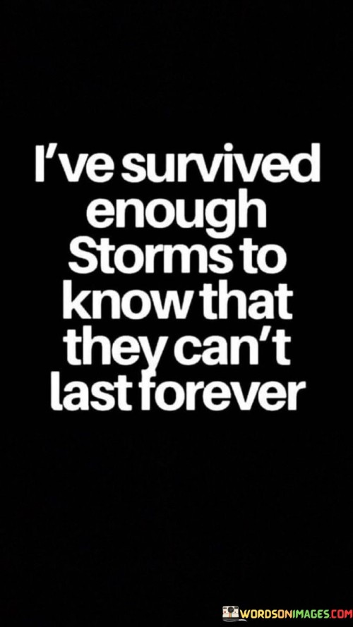 Ive-Survived-Enough-Stroms-To-Know-That-Quotes.jpeg