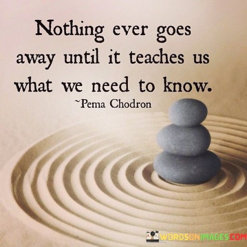 Nothing Ever Goes Away Until It Teaches Quotes