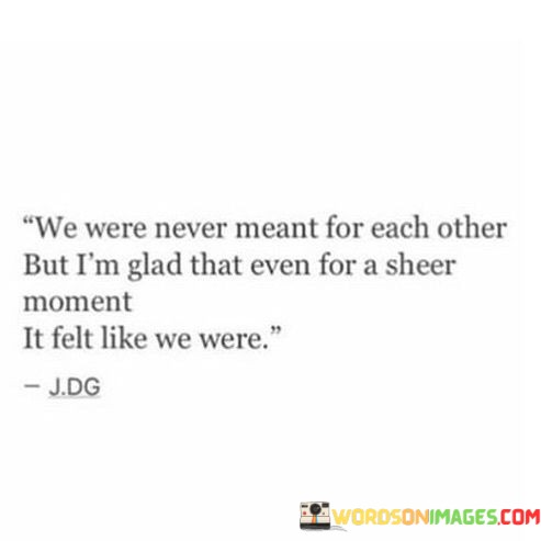 We-Were-Never-Meant-For-Each-Other-But-Im-Glad-That-Even-Quotes.jpeg