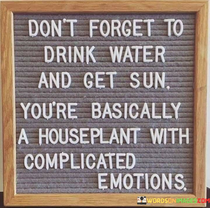 Don't Forget To Drink Water And Get Sun You're Basically Quotes