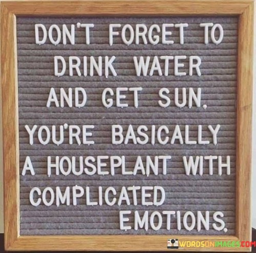 Dont-Forget-To-Drink-Water-And-Get-Sun-Youre-Basically-Quotes.jpeg
