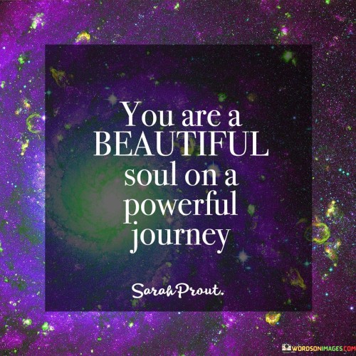 You Are A Beautiful Soul On A Powerful Journey Quotes