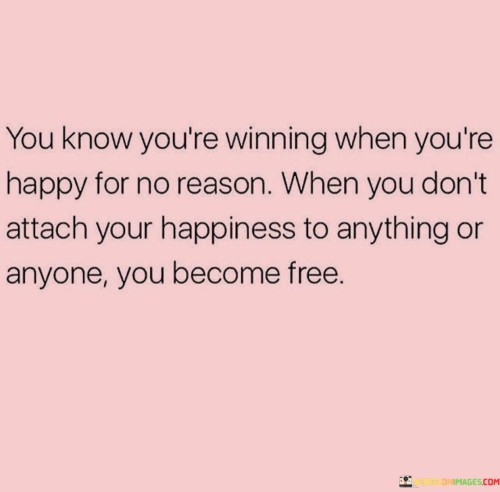 You-Know-Youre-Winning-When-Youre-Happy-For-No-Reason-Quotes6f5bd70628da8f8b.jpeg