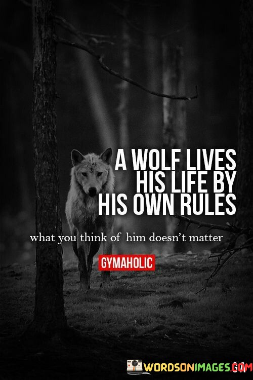 A-Wolf-Lives-His-Life-By-His-Own-Rules-Quotes.jpeg