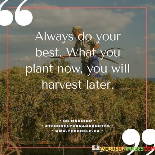 Always-Do-Your-Best-What-You-Plant-Now-Quotes.jpeg