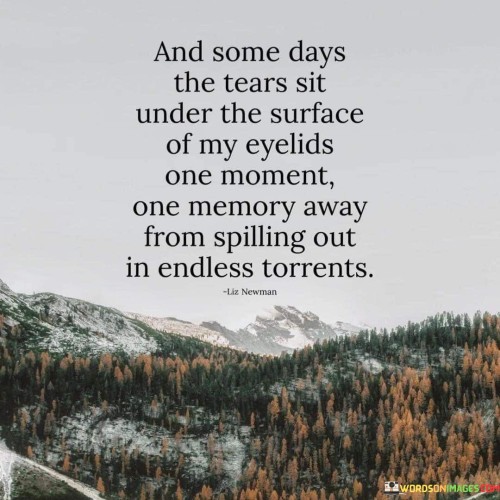 The quote "And Some Days the Tears Sit Under the Surface of My Eyelids, One Moment, One Memory Away from Spilling Out in Endless Torrents" vividly captures the emotional volatility that can come with grief and memories of loss.

The quote emphasizes the delicate balance of emotions. It suggests that the speaker's tears are always close to the surface, ready to be triggered by a single moment or memory.

Furthermore, the quote speaks to the unpredictable nature of grief. It implies that certain days can be more challenging than others, with emotions ready to overflow at any given moment.

Ultimately, the quote serves as a powerful description of the fluctuating nature of emotions tied to mourning. It resonates with those who have experienced the intensity of grief, underscoring the depth of feelings that can be brought to the surface by the smallest triggers and reminding us of the intricate relationship between memory, emotions, and healing.