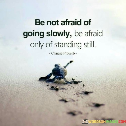 Be Not Afraid Of Going Slowly Be Afraid Quotes