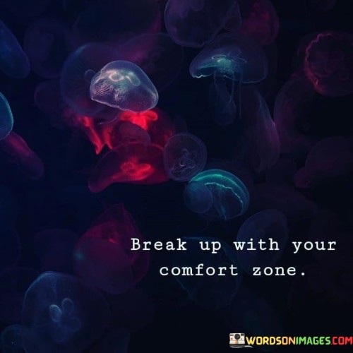 Break Up With Your Comfort Zone Quotes