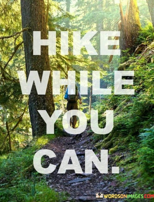 Hike-While-You-Can-Quotes.jpeg