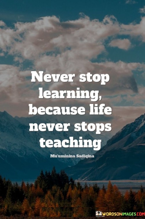 Never Stop Learning Because Life Never Stops Teaching Quotes