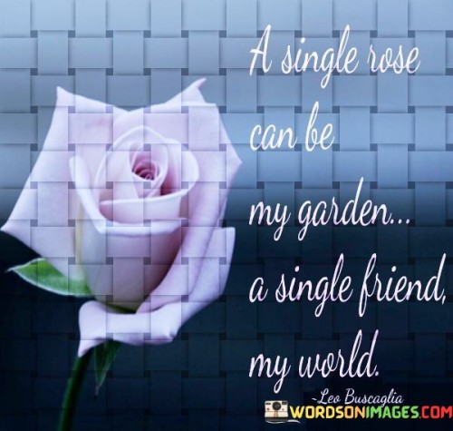 A Single Rose Can Be My Garden A Single Friend Quotes